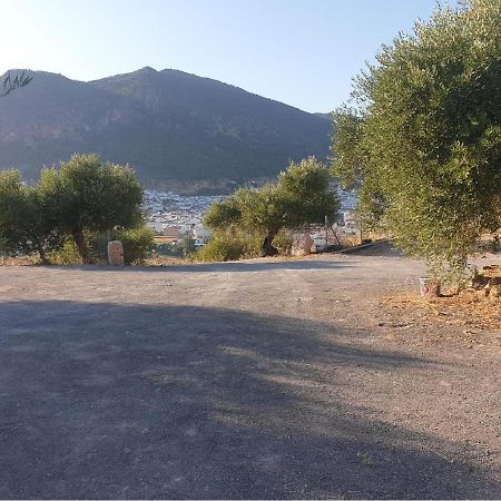 Villa El Mirador Algodonales Dış mekan fotoğraf
